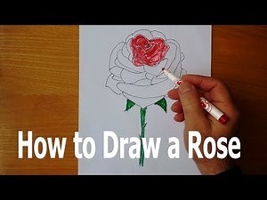 How to draw a red rose, simple drawings