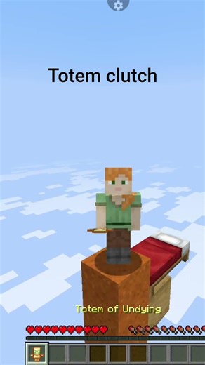 Minecraft Java edition total clutch