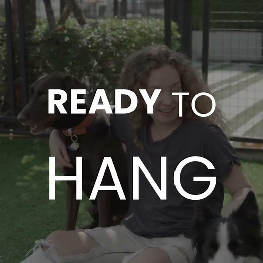 How to Frame Your Phone Photos Online in Minutes | Easy Upload & Fast Delivery