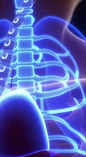 DRINK WATER, UNLOCK YOUR BRAIN: The Ultimate Focus & Energy Hack