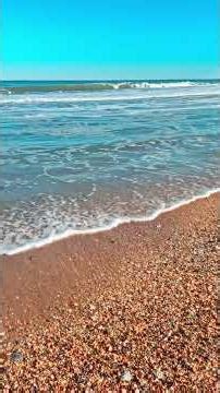 OBX Shell Season | Sounds of Hundreds of Tiny Shells