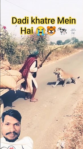 Dadi khatre mein hai 😱🐯🔥 | Leopard Attack Roadside | Real Life Scary Moment