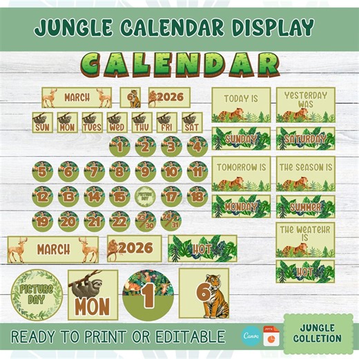 Jungle Classroom Calendar Display for First Grade & Elementary Teachers | Days, Weather and Seasons Pocket Chart | Wild Animals Theme - Etsy