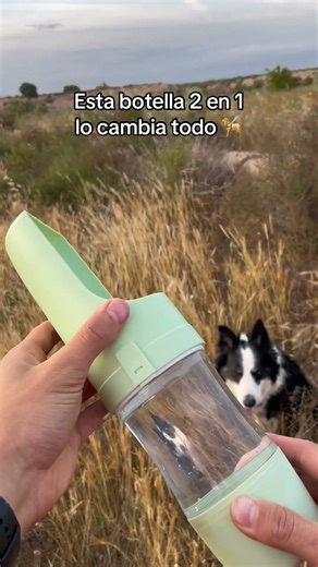 Más información en nuestro perfil!🐶🐾 #petessentials #dog #doglife #doglovers