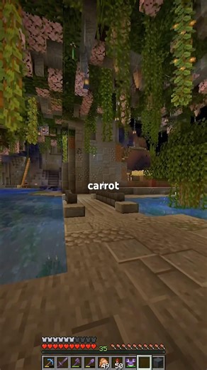 Bedrock Rabbits Are More Realistic #minecraft #java #bedrock #rabbits #redstone #observer #survival