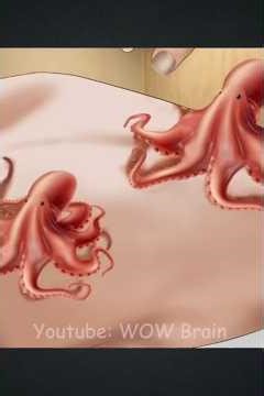 ASMR Octopus Attack on the Back🐙 | Extreme Wet & Sucking Sounds