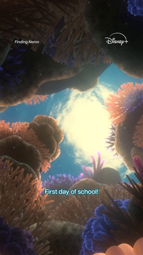 Good luck to you and yours for the first day of school! Stream Finding Nemo on Disney . | Disney