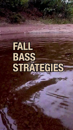 Unlock the secrets of fall bass fishing with this one-minute expert guide that breaks down proven tactics and lure choices. Learn why bass gorge in the fall and how to capitalize on their feeding patterns, ensuring your tackle box is as prepared as you are. #bassfishing #bassfishingtips #fishingtips #fallbassfishing #bassfishingbasics #bigbitebaits #zebco #fishtok #howtofish