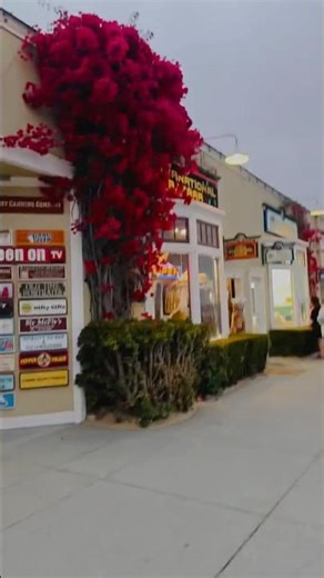 Coastal charm, Monterey, California! ocean views to seaside vibes, #highway1 #monterrey #California