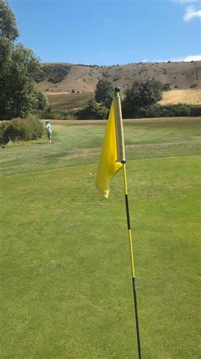 the ducks were not impressed #golf #golfswing