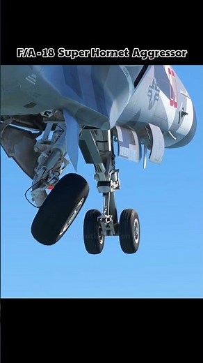 Watch the F/A-18 Super Hornet Aggressor Retract Landing Gear in Stunning Detail!