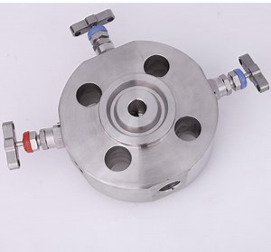 [Hot Item] Nai-Lok Super-Duplex 2205 Monoflange Dbb Valve 1 2 in to 2 in Class150lb to 2500lb Single and Double Block and Bleed Manifolds Valve
