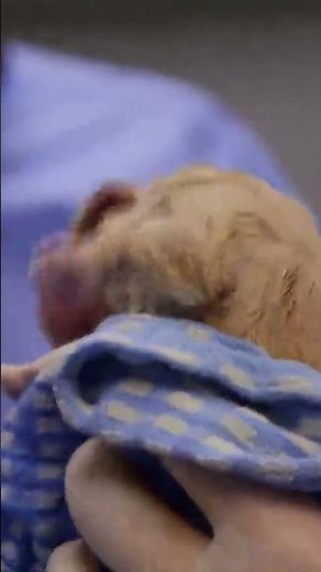 Every Clue Changes History | Expedition Unknown S3 E6 | Discovery Channel