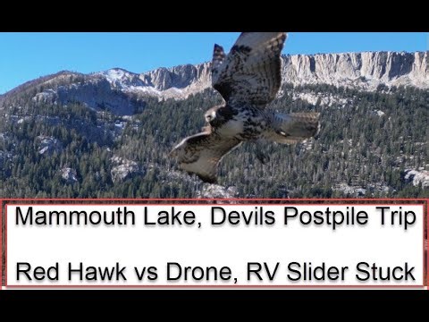 Drone vs Hawk, RV Slider Stuck at Mammouth Lakes, Devils Postpile