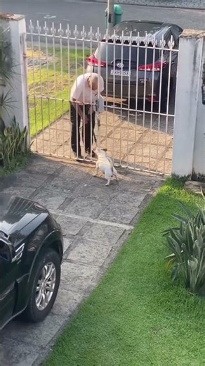 AC01#trending #comedy #funny #shortvideo #music #youtubeshorts #gaming #pets #chinesedrama