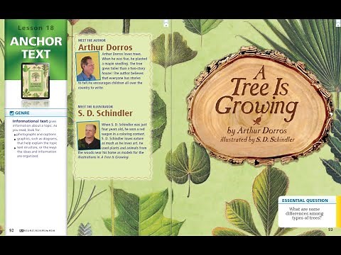 Journeys Lesson 18 for Third Grade: A Tree is Growing