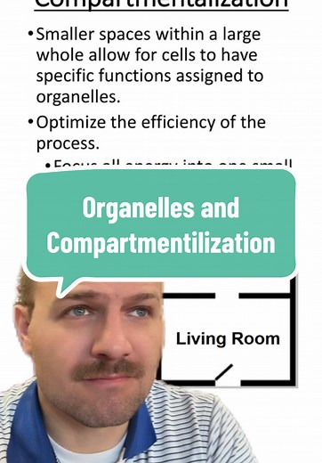Understanding Compartmentalization in Cell Biology