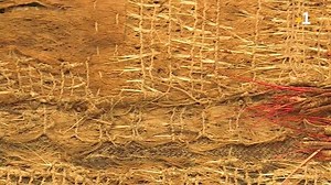 🌏 Un fragment de Maro ura, la ceinture de plumes rouges que seuls les grands chefs polynésiens pouvaient porter a été identifié au musée du quai Branly à Paris. ➡Sur le drapeau de la Polynésie, les deux bandes rouges symbolisent le Maro ura, c’est dire l’importance de cet objet.⤵⤵ | La 1ère