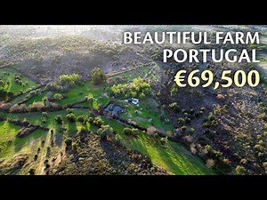 Off-Grid 2 hectare farm FOR SALE near Monsanto | €69,500 | Portugal Property
