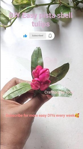 🌸 DIY Easy Pista Shell Tulip Flower Making | Crafttory by Tonu 🌸