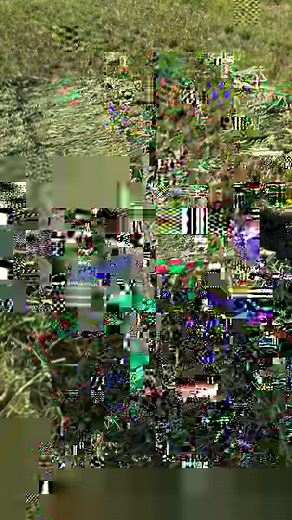 15K views · 200 reactions | Baling alfalfa. 10 rules. #tractor #farmer #farmers #alfalfa #hayforsale call for prices. 623-386-2988. Or email me. trevor@baleshay.com | Bales Hay Sales | Facebook