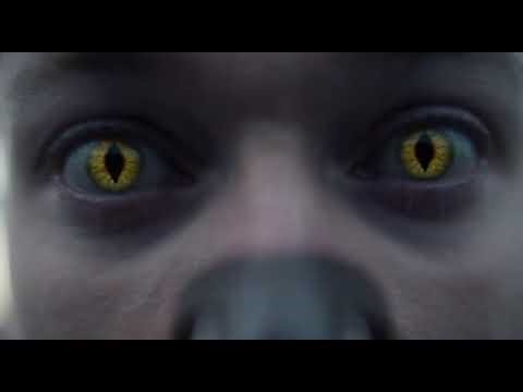 Man transforms into part cat #ai #tf #bodyswap #transformation #cattf