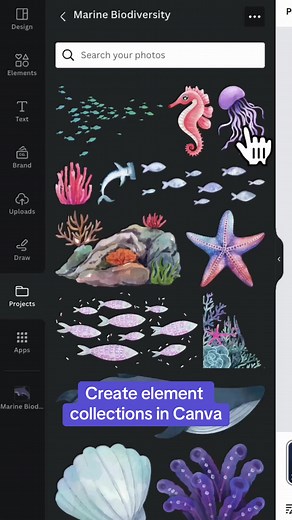 TikTok - Make Your Day