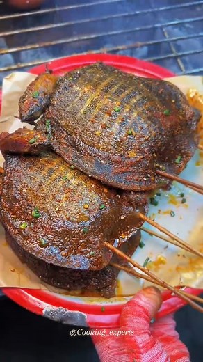 Cooking Experts (1M🧿) on Instagram: "Live turtles 🐢( Lolipop) Cooking👩‍🍳 🤯😨😱😱🤯OMG!! . . #cooking #eating #chickenrecipes #grilledfish #featured #explorepage #instagood #anaconda #reels #shorts #instadaily #sea #seafood #fish #viralreelsシ #reelsviralシ #reels #reelsinstagram #turtle"