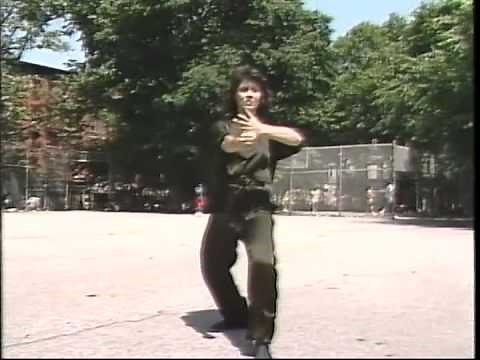 Guang Ping Yang Tai Chi Chuan - 64 movement
