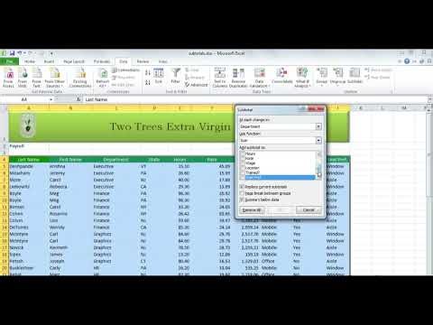 Inserting automatic subtotals in Excel