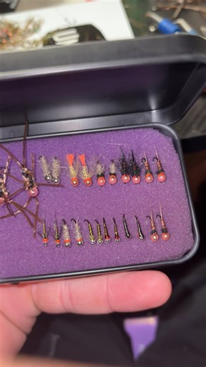Nasty little tin tied up full of euro nymphing goods!🦟🏔️ @trionthefly #fyp #flyfishing #photography #flytying #CapCut