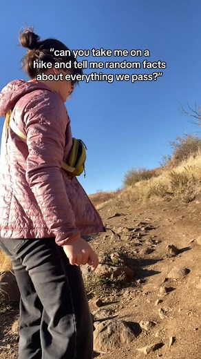 every #wildernessguide’s dream 💭 ✨🏔️ come on a guided hike with us to enjoy the last of fall in the foothills, or get a glimpse of winter on a high peak ❄️ #hiking #Colorado | Colorado Wilderness Rides And Guides