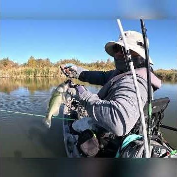 December Bass Fishing at the Gila River AZ | Cold Water Bite #gilariver #fishingshorts