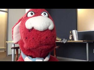 The Ultimate Dog Tease