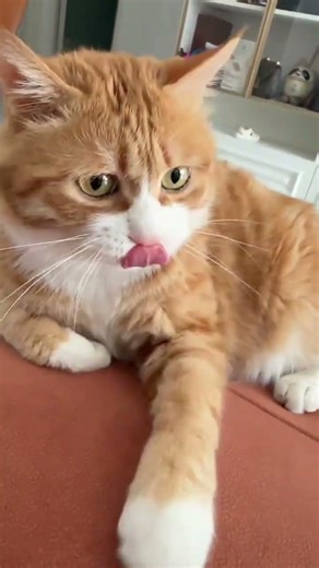 10 Easy DIY Home Decor Projects for Beginners