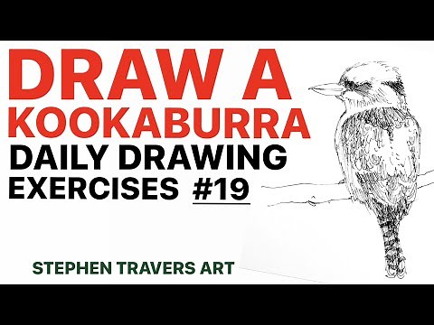 Draw This Kookaburra