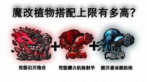 【最强阵容搭配】幻灭机枪炮台 究极樱火射手 毁灭者冰毁机枪组成的魔改植物阵容将会有多强呢?