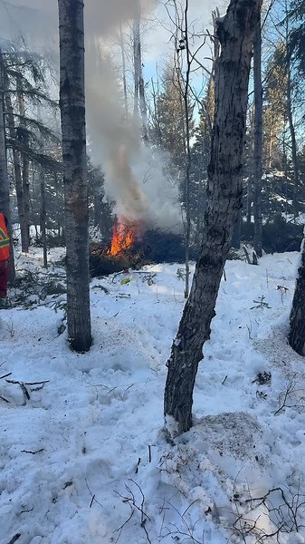 Another good day on the line