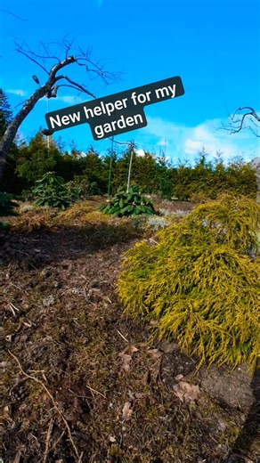 Garden Hose Nozzle That Makes Watering Easy 🏡 #gardening #diy #shorts