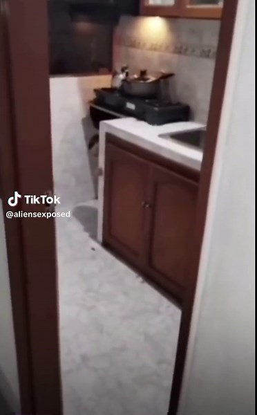 Es real y se ha presentado en varias ocasiones 💀 #mystery #alien #monster #horror #creature #terror #demon #spirituality