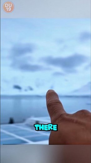 Midnight in Antarctica… But the Sun Is Still Shining?! 🌞❄️