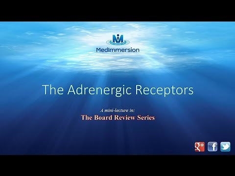 The Adrenergic Receptors