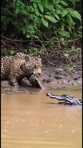 Exploring the Fascinating World of AI and Animals