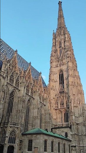 St. Stephen's Cathedral. Vienna. #vienna #austria #stesteban #cathedral #travel #viralshort