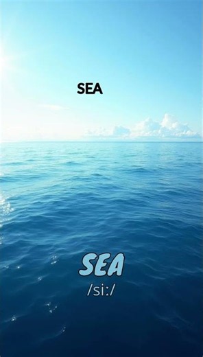 Loopoom English: Learn "Sea" - English Vocabulary & Pronunciation