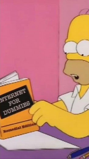 Homer - Internet for Dummies
