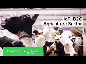 IoT: Powering the Digital Economy - The B2C Agriculture Sector | Schneider Electric