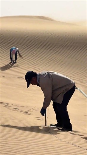 Recording the daily life of desert tree planting, desert tree planting and desertification contr