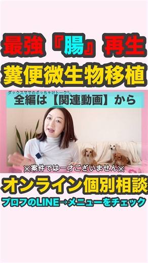 何をやってもダメならコレ‼️ #犬の腸 #アレルギー