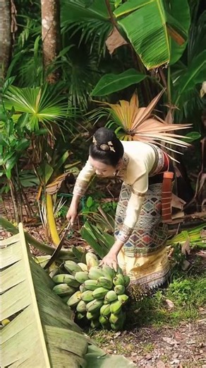Simple process of harvesting bananas from trees
